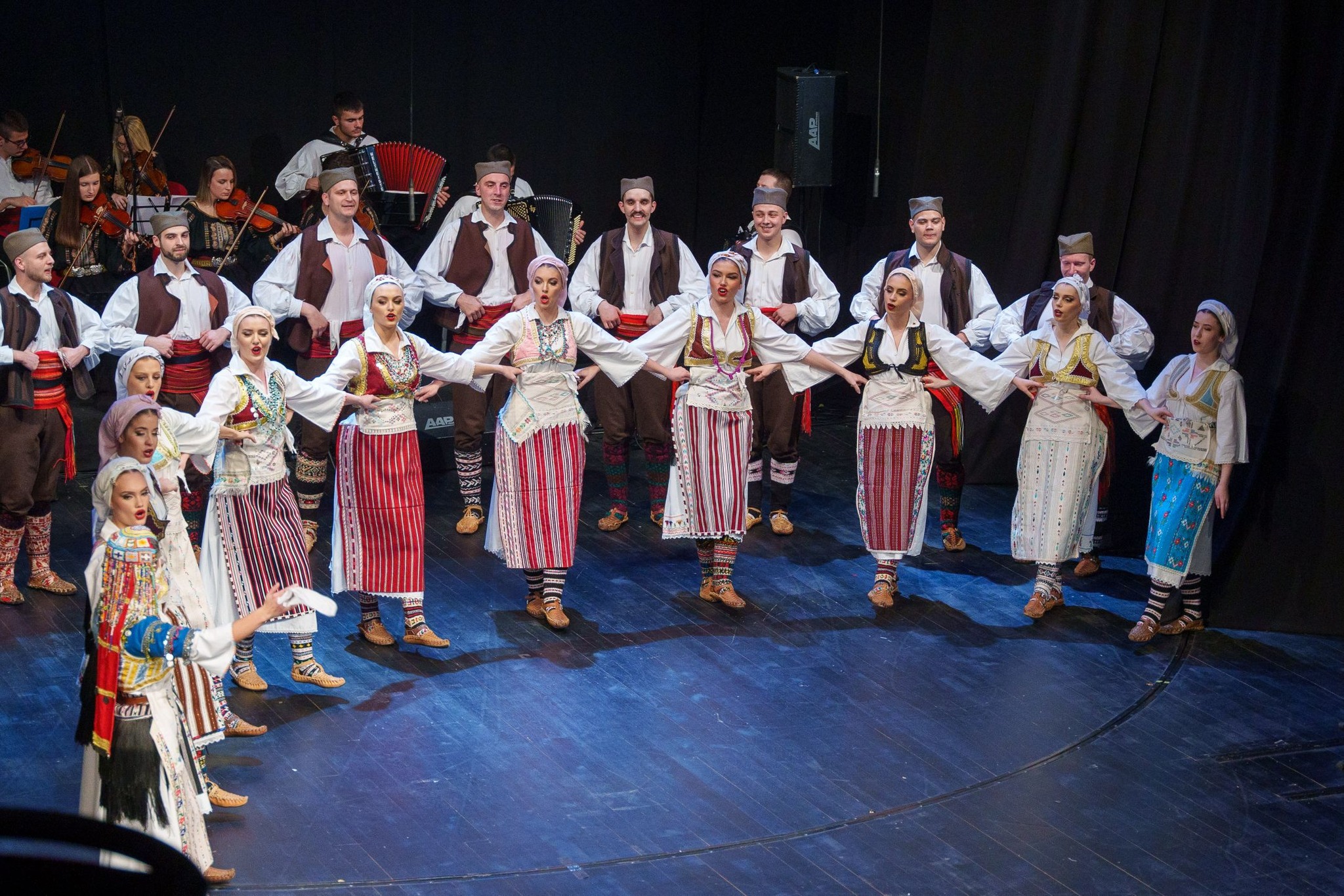 АНИП Веселин Маслеша